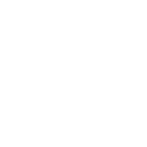 custom_smilies